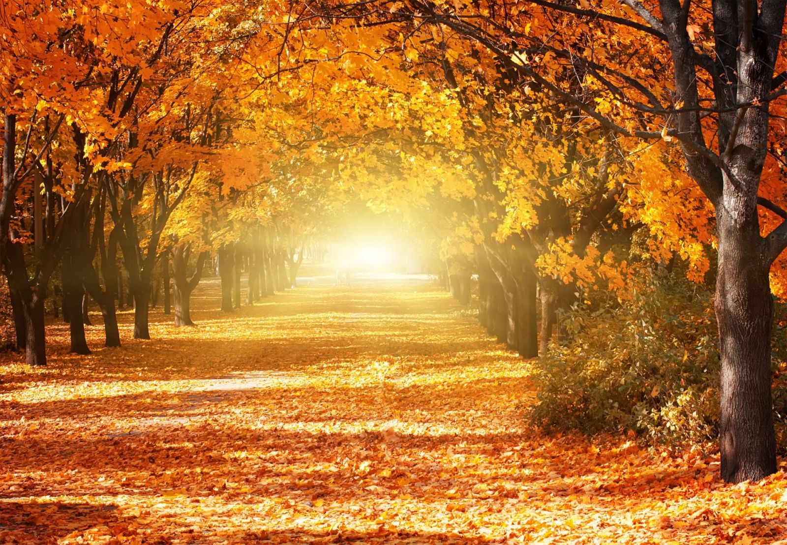Herfst