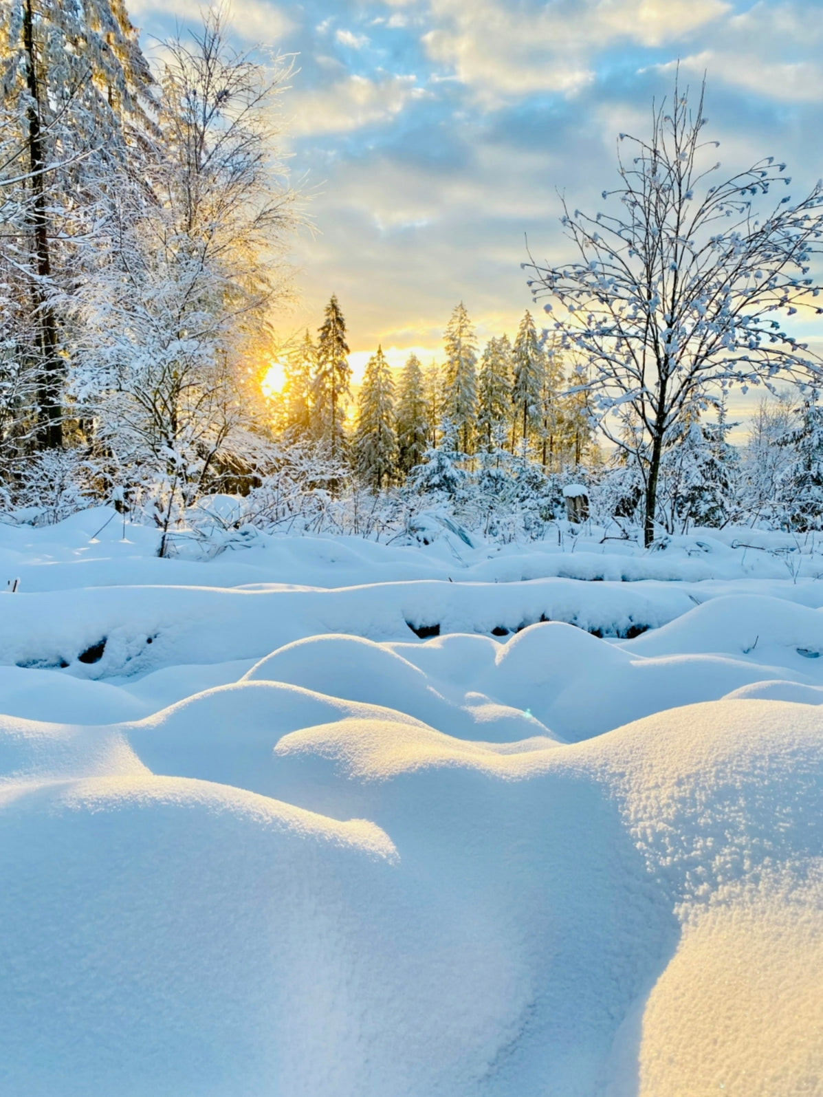 Winter